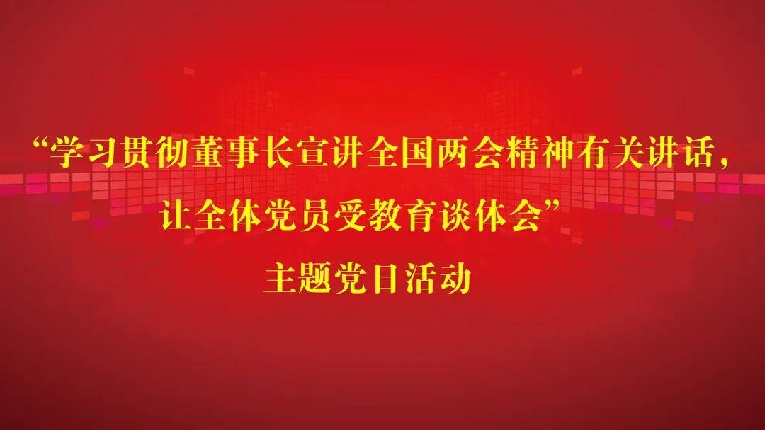 3月主题党日运动 | 学习贯彻董事长宣讲天下两会精神有关讲话，，，，让全体党员受教育谈体会-新闻动态-天能控股集团 - 贡献绿色能源，，，，创立优美生涯。。